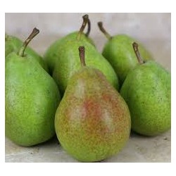 Poire Guyot 1kg