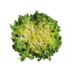 Salade Frisée/pièce
