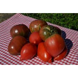 Tomates Anciennes 1kg...