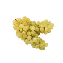 Raisins Blancs 1kg