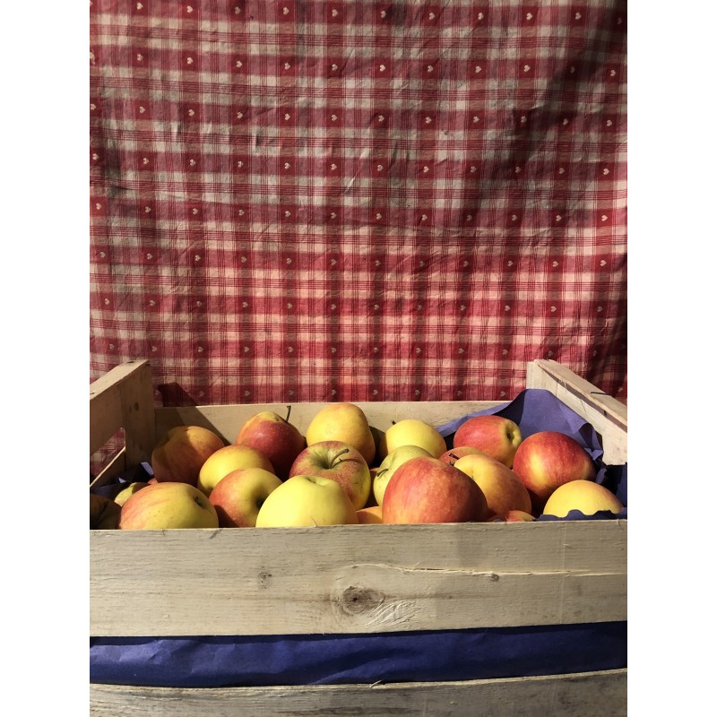 caisse pommes Gala 10kg