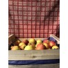 caisse pommes Gala 10kg