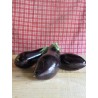 Aubergine / 1Kg