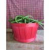 haricot/500g