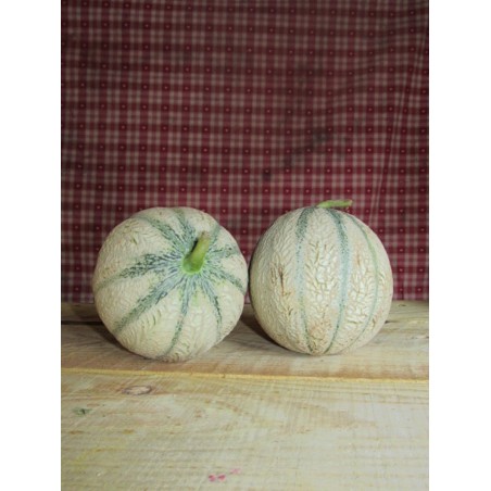 melon/piece