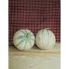 melon/piece
