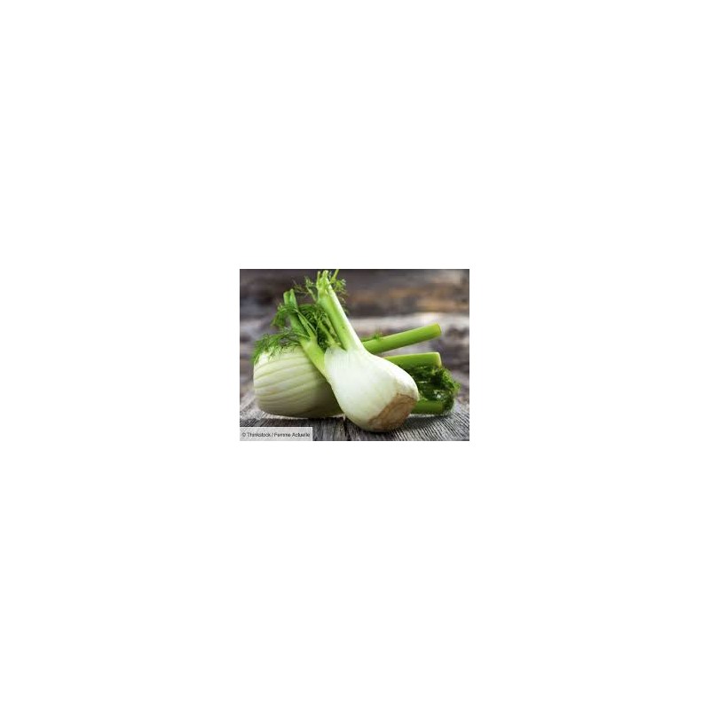 Fenouil/ 1kg