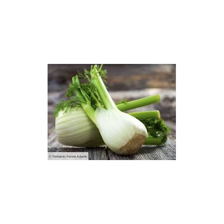 Fenouil/ 1kg