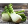 Fenouil/ 1kg